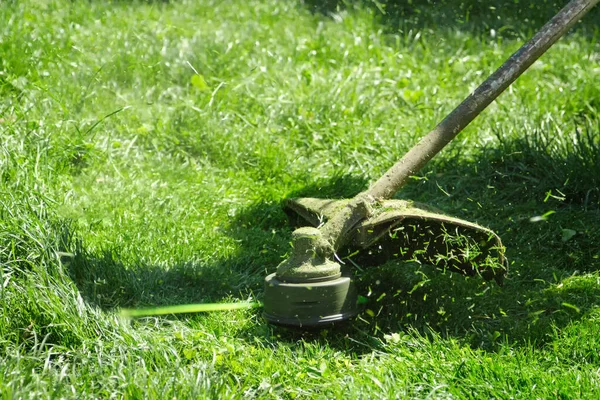 Nahaufnahme Eines Manuellen Elektrischen Rasenmähers Der Einem Sonnigen Tag Auf — Stockfoto