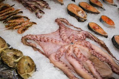 Bir dükkanda büyük bir ahtapot, karides, ton balığı ve diğer deniz balıklarının yakın çekim görüntüleri. Seçici odak.