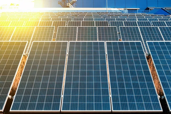 Bir şirket ya da fabrikanın arka planına karşı elektrik üretimi için pek çok endüstriyel güneş panelinin yakın çekimi. Endüstrinin enerji kaynakları ekonomisi.