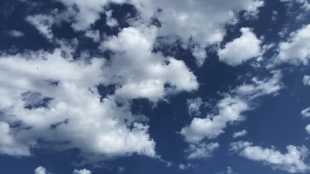Прекрасное Утреннее Небо Облаками Фон Шаблон Дизайна — стоковое видео