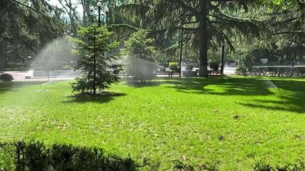 Primo Piano Sistema Automatico Irrigazione Del Prato Parco Cittadino Infrastrutture — Video Stock