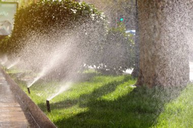 Şehirdeki bir caddede otomatikman çim sulama sistemi kurulmuş. Şehir yaşamının altyapısı ve gelişimi.