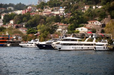 Yeşil dağların zeminine karşı deniz kıyısındaki güzel özel otel ve evlerin manzarası: İstanbul, Türkiye - 23 Ekim 2023