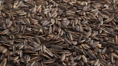 Pek çok kavrulmuş ayçiçeği çekirdeğinin yakın çekimi. Doğal ürünlerin geçmişi. Seçici odak.