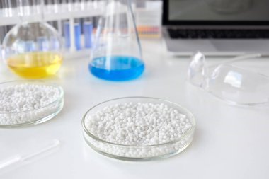 Kimyasal araç gereç, kap kacak ve dizüstü bilgisayarın arka planına karşı beyaz granüllerle dolu bir laboratuvar petri kabının yakın çekimi. Konsept: araştırma, biyokimya, ilaç ve bilim.