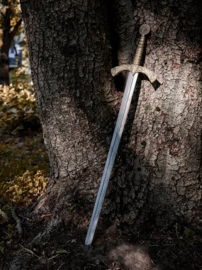 Ortaçağ 'dan kalma güzel bir kılıç ve ormanda büyük bir ağacın yanında bronz bir kabzası var. Ortaçağ zanaatkarlarının maharetli işi..