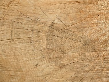 Ağaçların yakın çekim dokusu kahverengi bej tonlarda kesiliyor. Tasarımcı için şablon.