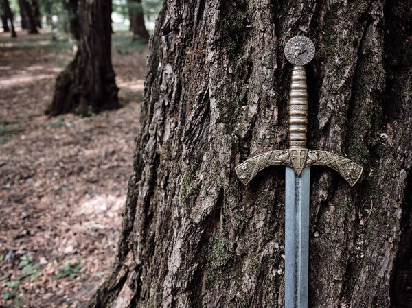 Beautiful medieval sword with a bronze hilt against the background of trees in an autumn forest. Skillful work of medieval craftsmen.