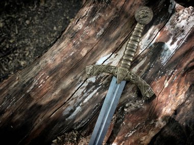 Ortaçağ 'dan kalma güzel bir kılıç. Ormandaki eski bir ağacın arka planında bronz bir kabzası var. Eski resim tonu.