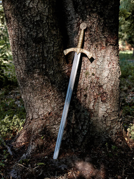Close-up a beautiful medieval sword with a bronze hilt near a large tree in the forest. Skillful work of medieval craftsmen. Vintage image toning.