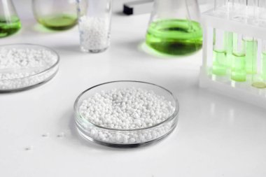 Diğer laboratuvar camlarının arka planına karşı kimyasal deneyler için bir petri kabının yakın plan çekimi. Seçici odak.