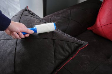 Yakın plan el temizleme yastık deri kanepe yapışkan kağıt iplik rulo el. Mobilya bakımı ve bakımı.