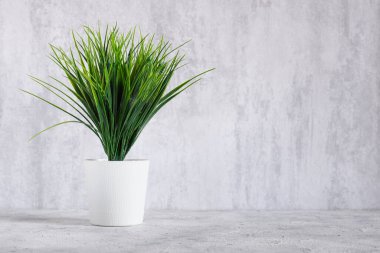 Dekoratif yeşil ağaç, arka planda beyaz tencerede. Dekorasyon için ev içi yapay bitki.