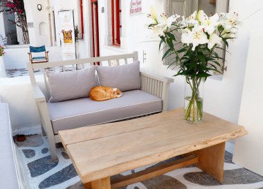 Cute ginger cat taking a nap in a comfortable sofa