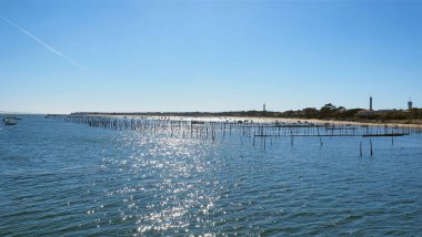Oyster park at Lge-Cap Ferret on the Arcachon basin, in Nouvelle-Aquitaine, in the south-west of France
