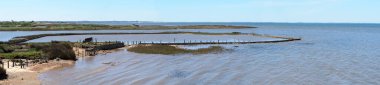 panoramic view of the marshes of the ornithological parc of Le Teich, a small village on the Arcachon basin, in New Aquitaine, in the south-west of France clipart