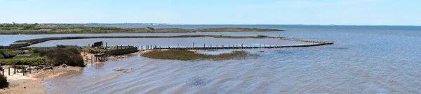 stock image panoramic view of the marshes of the ornithological parc of Le Teich, a small village on the Arcachon basin, in New Aquitaine, in the south-west of France