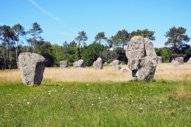 view of the alignments of menhirs of Carnac, a famous Neolithic UNESCO World Heritage site located in Brittany in western France
