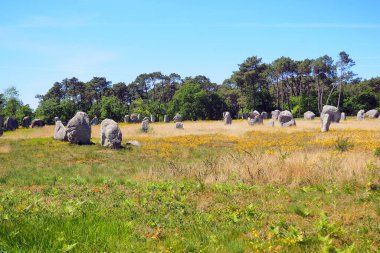 view of the alignments of menhirs of Carnac, a famous Neolithic UNESCO World Heritage site located in Brittany in western France