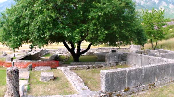 Sacred Fire Oak Sanctuary Dodoni Epirus Dedicated Fertility Goddess Hera — Stockvideo