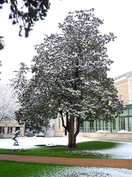 位于市中心地区的蒙塔吉斯市政厅被雪覆盖的花园 得名于卢埃雷特省加蒂内的威尼斯 — 图库照片