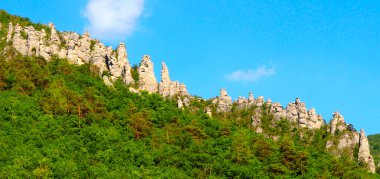 Causse Mejean ve Causse de Sauveterre arasındaki Tarn tarafından kazılan meşhur Gorges du Tarn Kanyonu manzarası