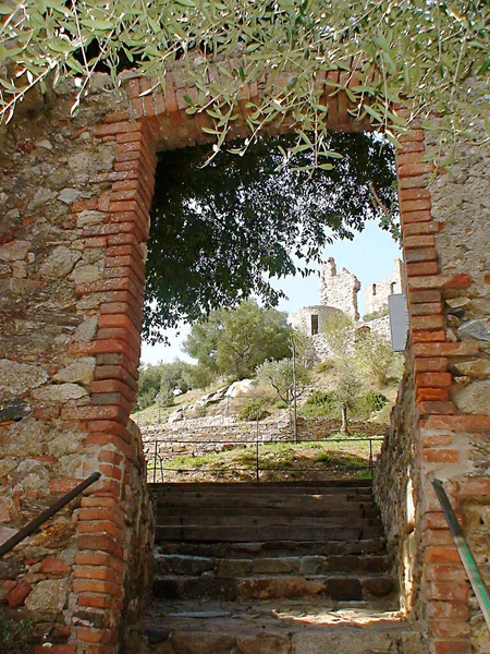 Castello Medievale Grimaud Nel Dipartimento Var Provenza Luogo Strategico Perché — Foto Stock