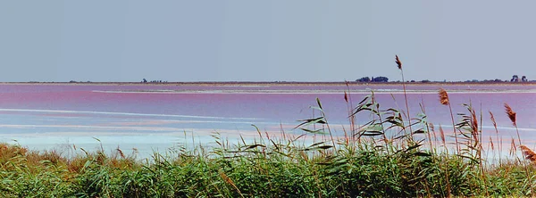 Estanques Evaporación Agua Salada Camargue Sur Francia Cuyo Color Rosa — Foto de Stock