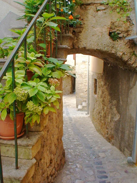 Old Flowery Alley Ramatuelle Village Provence South France Shores Mediterranean — Stock Fotó