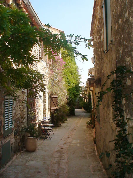 Old Flowery Alley Ramatuelle Village Provence South France Shores Mediterranean — Stock fotografie