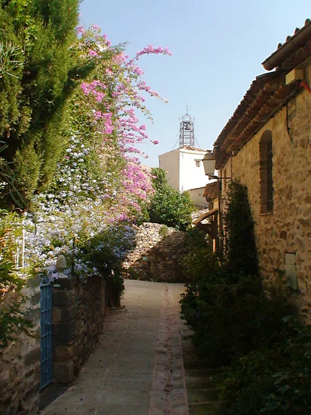 Virágzó Sikátor Campanile Ramatuelle Falu Provence Dél Franciaországi Partjainál Földközi — Stock Fotó