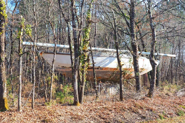 old sailboat stranded among the trees of the forest of the Landes de Gascogne regional park, in Gironde, in the south west of France