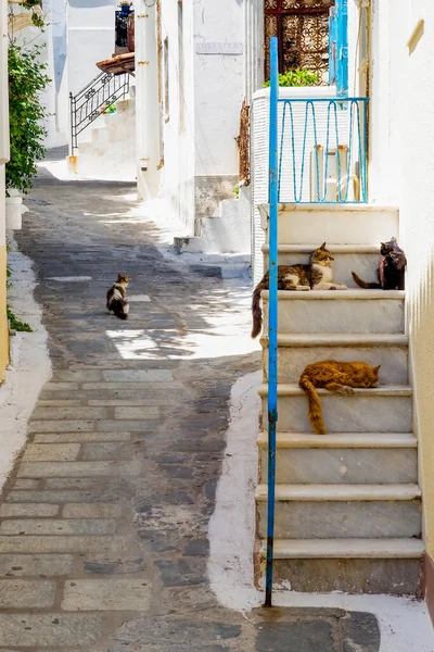 Een Van Charmes Van Griekse Cycladische Eilanden Het Hart Van — Stockfoto