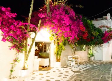 Ege Denizi 'nin merkezindeki Kiklad Adaları' ndaki Mykonos Adası 'nın (Yunanistan) güzel çiçekli evi.