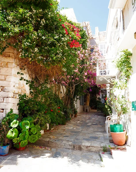 キュクラデス諸島の中心部にあるギリシャの島 ミコノス島の魅力の1つは 狭い通りです 舗装された通りのほぼ上に小さな花のバルコニーがある白い家 — ストック写真