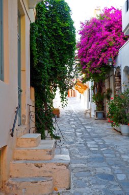 Cyclades takımadalarında, Ege Denizi 'nin kalbinde adı 