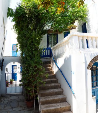 Ege Denizi 'nin göbeğindeki Yunan adalarının cazibelerinden biri de bu küçük çiçekli balkonları olan evlere ulaşmak için bu dar merdivenler ve beyaz teraslardır.