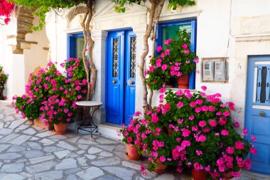 Pyrgos 'un cazibelerinden biri, Tinos' ta, Kiklad 'da, Ege Denizi' nin ortasında, beyaz evleri ve çiçekleri olan dar kaldırımlı caddelerdir.