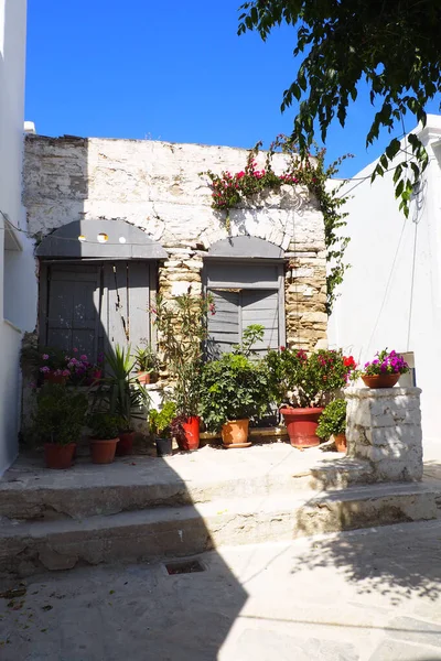 エーゲ海の中心部にあるギリシャのキュクラデス諸島の魅力の1つは 昔の都市の狭い通りの家の美しい色のドアです — ストック写真