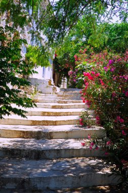 Cyclades adalarının cazibelerinden biri (burada, Yunanistan 'ın Tinos adasındaki Volax köyünde), Ege Denizi' nin kalbinde, kaldırımlı merdivenleri ve küçük balkonları olan beyaz evlerle dolu dar sokaklar vardır.