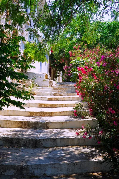 stock image One of the charms of the Cyclades islands (here in the village of Volax, on the island of Tinos in Greece), in the heart of the Aegean Sea, are the narrow streets lined with white houses with their cobbled stairs and small balconies flowery