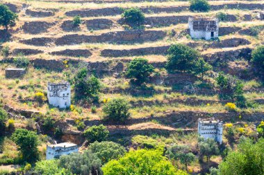  Cyclades 'de, Ege Denizi' nin göbeğinde, Tinos birçok güvercine sahip çeşitli manzaralara yayılmış bir adadır. Bu güvercinler yerel mimarinin karakteristiğidir. 