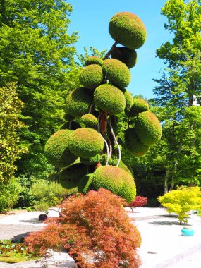 Toprak sanatı, temel amacı çit, yatak, bitki nakışı ya da daha çok dekoratif bir sonuç için dikkate değer şekiller oluşturmak olan ağaç ve çalıların budanmasından oluşur.
