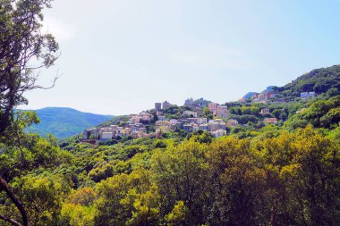 Bettolace, Cap Corse 'un en güzel dağ köylerinden biridir ve birçok tarihi eseri vardır: 15. yüzyıl Ceneviz Kulesi, Sant' Agnellu heybetli kilisesi ve bir başka eski kilise.