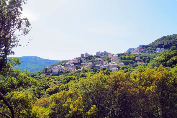 Bettolace One Most Beautiful Mountain Villages Cap Corse Several Historical — Stock Photo, Image