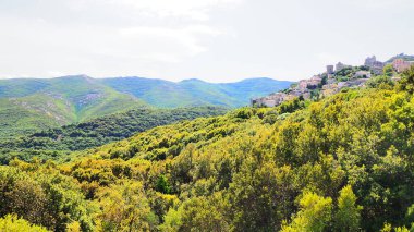 Bettolace, Cap Corse 'un en güzel dağ köylerinden biridir ve birçok tarihi eseri vardır: 15. yüzyıl Ceneviz Kulesi, Sant' Agnellu heybetli kilisesi ve bir başka eski kilise.