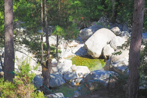 Restonica Floden Flyter Botten Fantastiska Raviner Som Erbjuder Många Möjligheter — Stockfoto