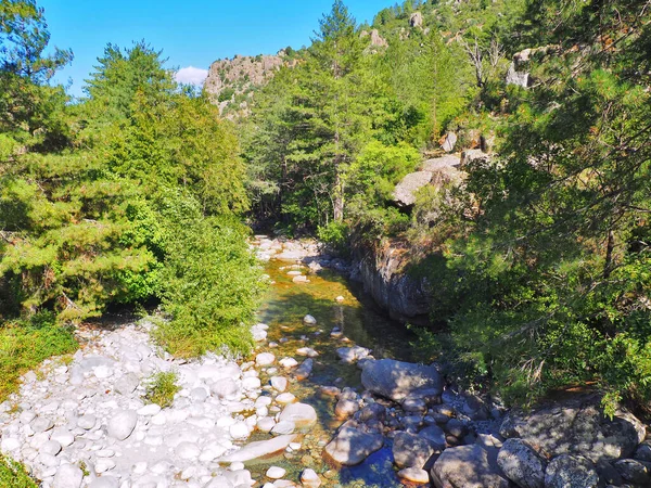 Restonica Floden Flyter Botten Fantastiska Raviner Som Erbjuder Många Möjligheter — Stockfoto
