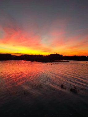 Fransa 'nın güneybatısındaki La Gironde Bölümü, Nouvelle Aquitaine' deki Arcachon havzasının kenarındaki Teich ornitoloji parkının bataklıklarında muhteşem bir gün batımı.