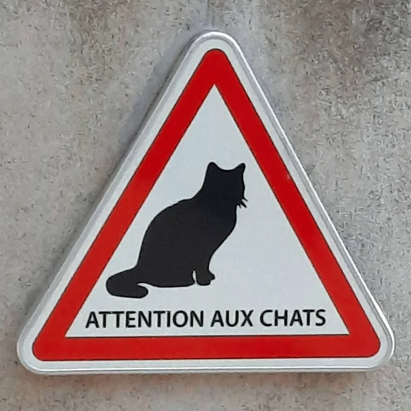 New triangular road sign urging you to Beware of cats